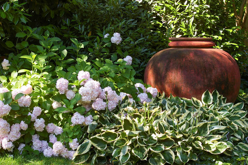 Garden ideas, Partial Shade border ideas, Border ideas, Hydrangea Madame Emile Mouillere, Hosta Patriot, Shade gardens ideas