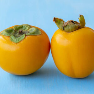 Diospyros kaki, Saijo, Japanese Persimmon, Oriental Persimmon, Persimmon Fruit, Persimmon Tree, Kaki, Kaki Fruit,
