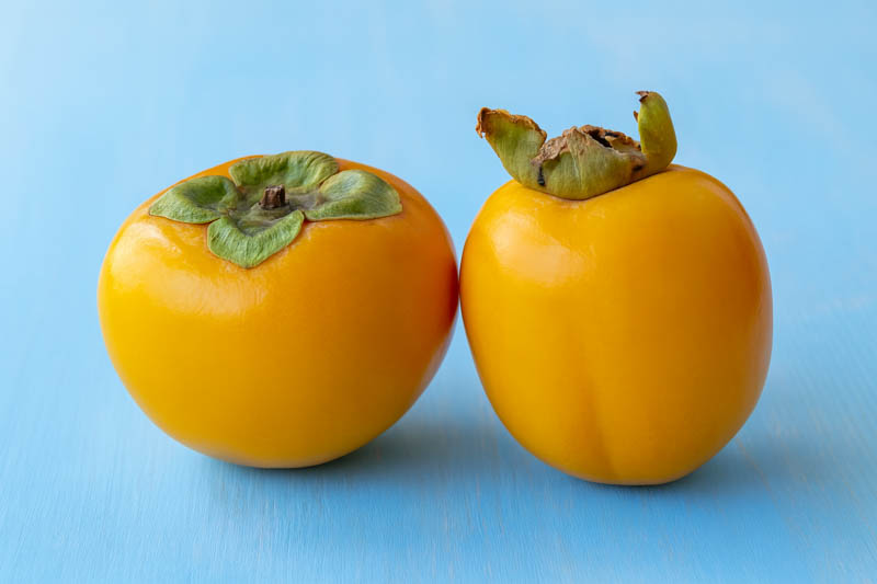 Diospyros kaki, Saijo, Japanese Persimmon, Oriental Persimmon, Persimmon Fruit, Persimmon Tree, Kaki, Kaki Fruit,