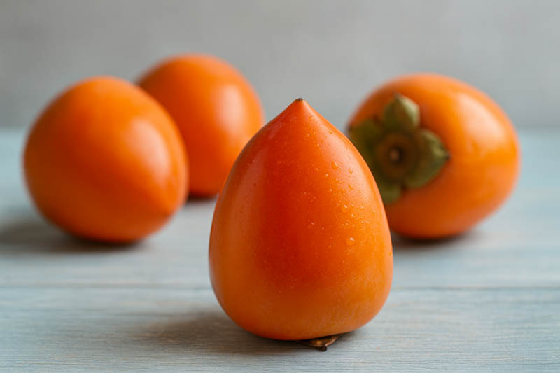 Diospyros kaki, Hachiya, Japanese Persimmon, Oriental Persimmon, Persimmon Fruit, Persimmon Tree, Kaki, Kaki Fruit,