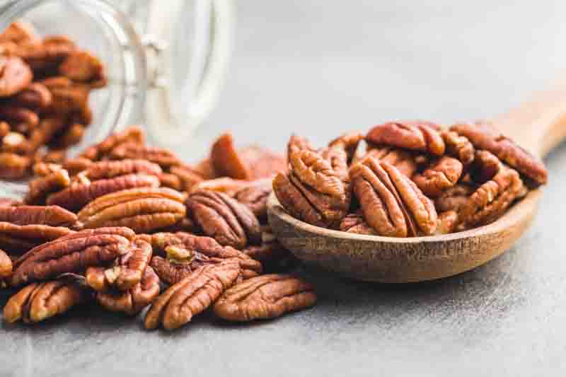 Carya illinoinensis, Hardy Pecan, Illinois Nut Tree, Pecan, Deciduous Tree, Fall Color, Fruit Tree