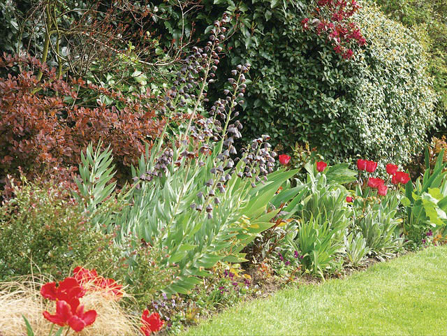 Spring Garden