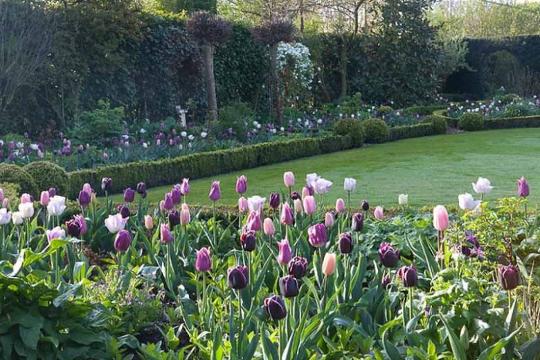 Spring Garden