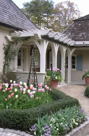 Garden ideas