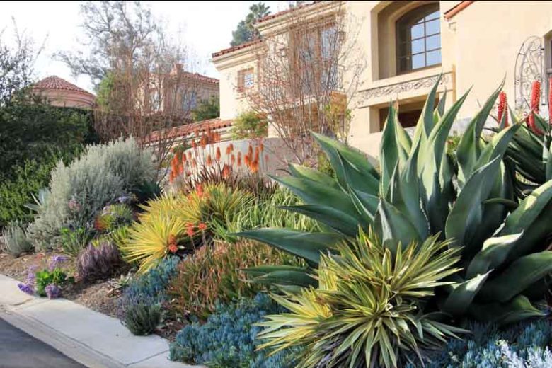Mediterranean garden