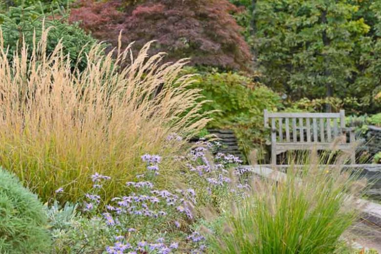 Tricyrtis formosana, Persicaria amplexicaulis 'Firetail' ,Calamagrostis x acutiflora 'Karl Foerster - Chanticleer Garden, Lisa Roper