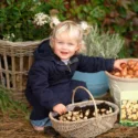 Bulbs planting