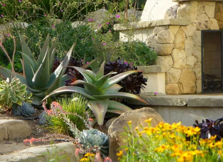 Garden Ideas