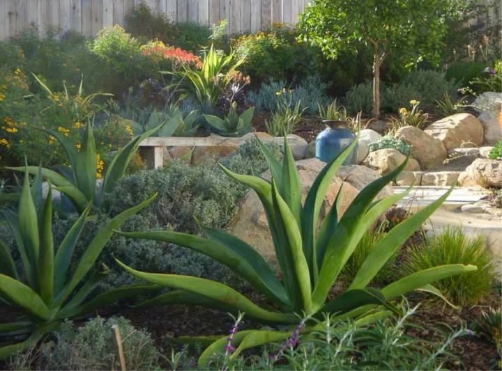 Garden Ideas