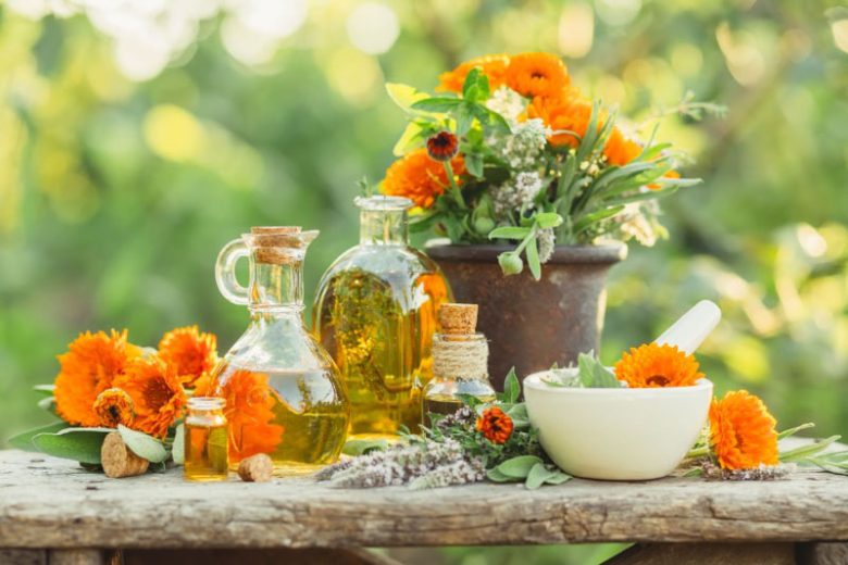 French Marigold, African Marigold, Aztec Marigold, American Marigold, Big Marigold, American Saffron, Signet Marigold, Slender leaf Marigold, Striped Mexican Marigold