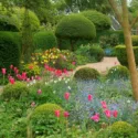 Spring Combination Ideas, Bulb Combinations, Plant Combinations, Flowerbeds Ideas, Spring Borders, Jacqueline van der Kloet, Tea Garden, spring garden, Tulip Apricot Beauty;Tulip Jacqueline,Tulip West Point,Tulip 'Spring Green',Narcissus Poeticus