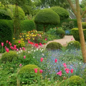 Spring Combination Ideas, Bulb Combinations, Plant Combinations, Flowerbeds Ideas, Spring Borders, Jacqueline van der Kloet, Tea Garden, spring garden, Tulip Apricot Beauty;Tulip Jacqueline,Tulip West Point,Tulip 'Spring Green',Narcissus Poeticus