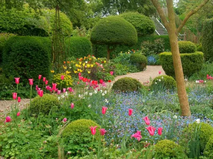 Spring Combination Ideas, Bulb Combinations, Plant Combinations, Flowerbeds Ideas, Spring Borders, Jacqueline van der Kloet, Tea Garden, spring garden, Tulip Apricot Beauty;Tulip Jacqueline,Tulip West Point,Tulip 'Spring Green',Narcissus Poeticus