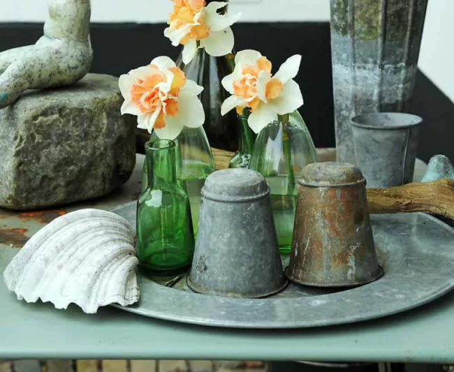 Narcissus Replete, Daffodil Replete, Daffodil 'Replete', Double Daffodil 'Replete', Double Narcissus 'Replete, Spring Bulbs, Spring Flowers, double narcissi, fragrant daffodils