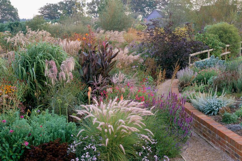 Kniphofia 'Timothy', Red Hot Poker 'Timothy', Poker Plant 'Timothy', Torch Lily 'Timothy', Tritoma 'Bees' Timothy', orange flowers, yellow flowers, summer perennial
