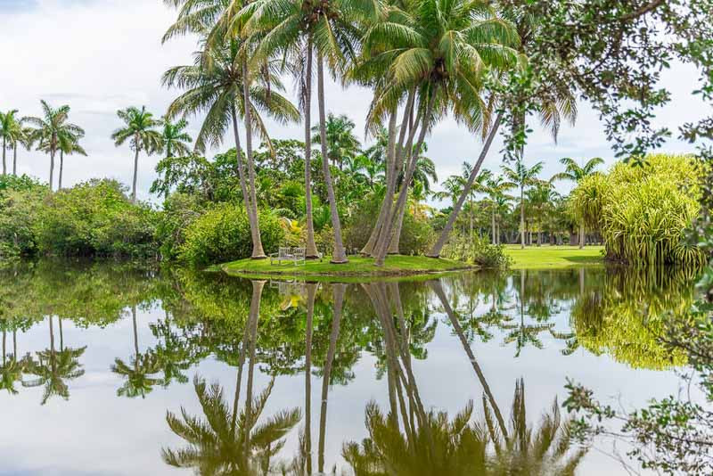 Florida Native Plants