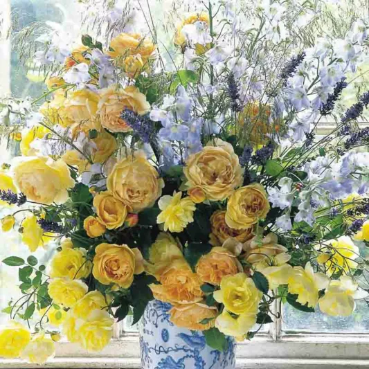 Rose Golden Celebration, Rosa 'Golden Celebration', English Rose 'Golden Celebration', David Austin Roses, English Roses, Yellow roses, shrub roses, Rose Bushes, Garden Roses, very fragrant roses