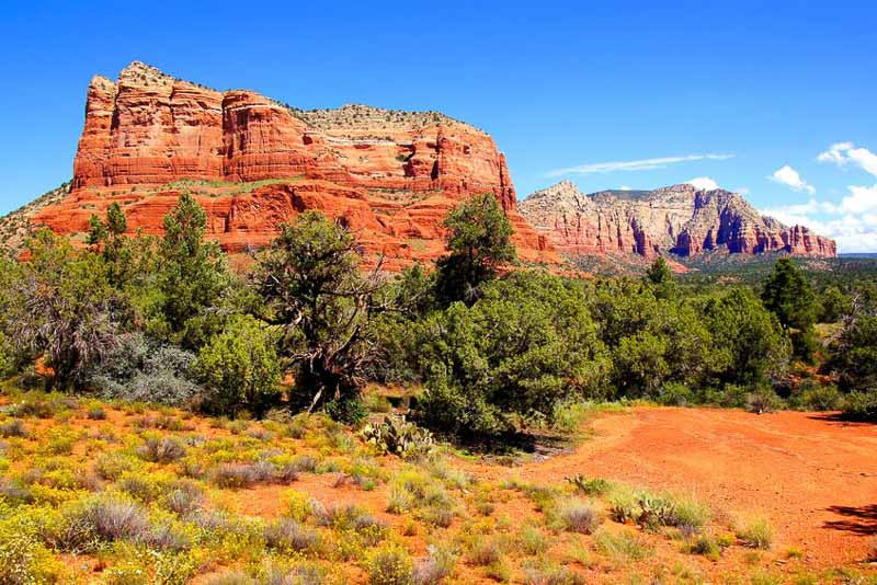 Southwest Native Plants