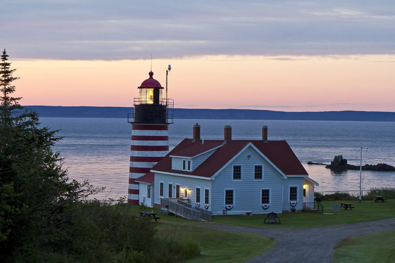 Maine Native Plants
