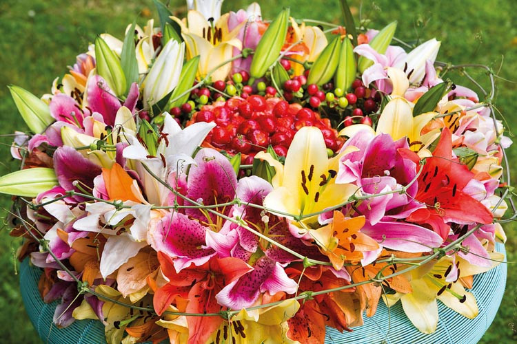 Lily, Lily Flower, Martagon Lily, Asiatic Lily, Trumpet Lily, Oriental Lily, Fragrant Lily