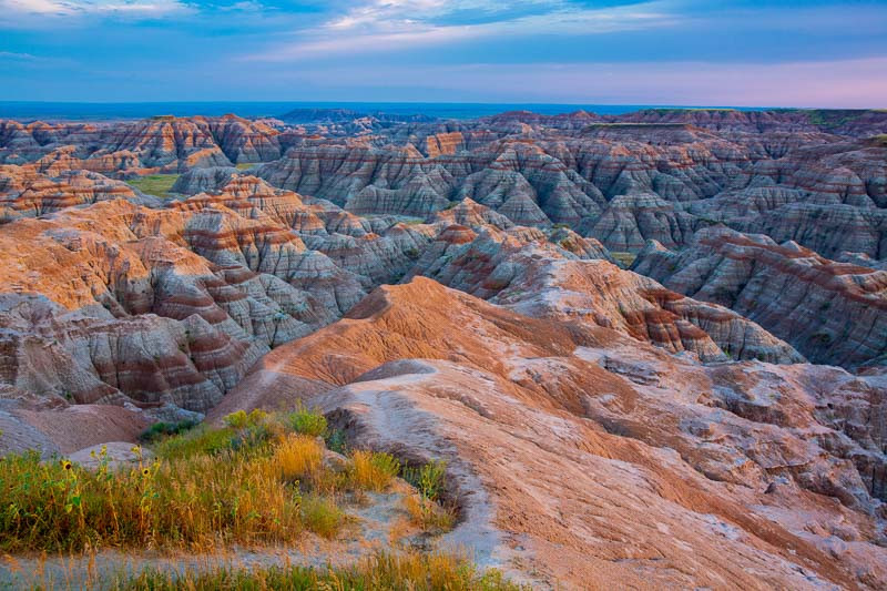 South Dakota Native Plants