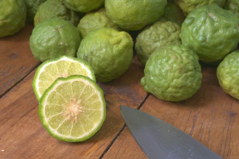 Citrus hystrix, Thai Lime, Kaffir Lime, Kieffer Lime, Mauritius Papeda, Leech Lime, Makrut Lime, Combavas, Wild Lime