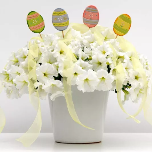 Petunia 'Easy Wave White', Easy Wave White Petunia, Trailing Petunia, White Petunia, White Flowers