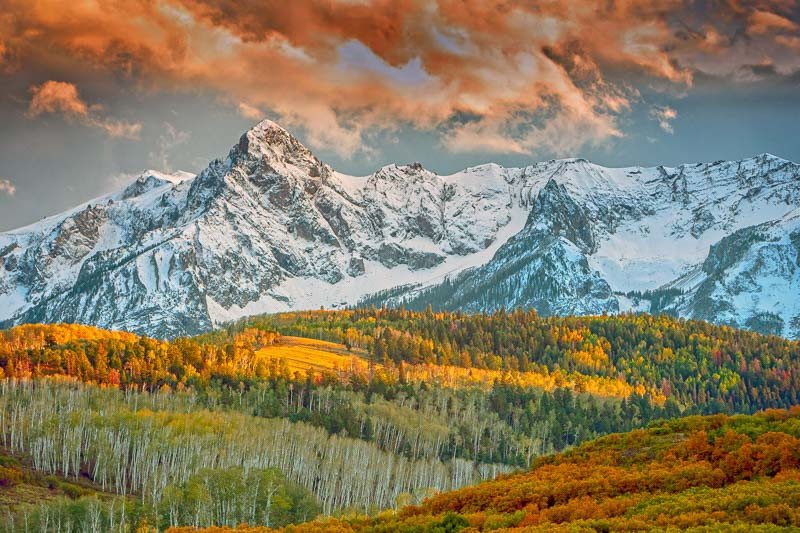 Colorado Native Plants