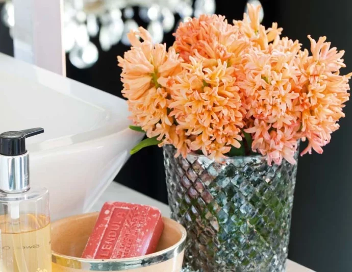 Hyacinth Gipsy Queen, Hyacinth 'Gipsy Queen', Dutch Hyacinth, Hyacinthus Orientalis, Common Hyacinth, Spring Bulbs, Spring Flowers, orange hyacinth, salmon hyacinth,apricot hyacinth