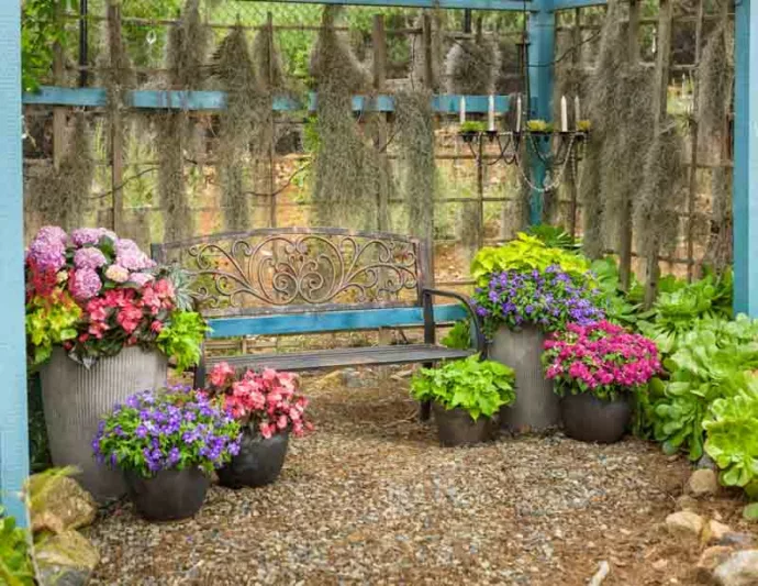 Impatiens walleriana 'Rockapulco Appleblossom', Rockapulco Appleblossom Impatiens,Double Impatiens, Pink Impatiens, Pink Flowers