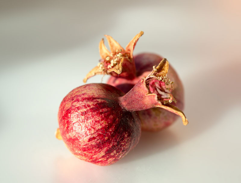 Punica, Pomegranate, Carthaginian apple, Granada, Punica granatum, Grenadine
