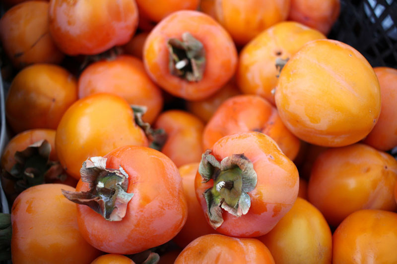 Diospyros, Japanese Persimmon, Chinese Date Plum, Chinese Persimmon, Oriental Persimmon, Kaki, American Persimmon, American Date Plum, Possum Wood, Virginian Date Plum, Common Persimmon, East