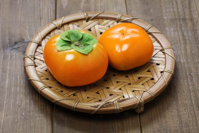 Diospyros kaki 'Jiro', Japanese Persimmon 'Jiro', Chinese Date Plum 'Jiro', Chinese Persimmon 'Jiro', Oriental Persimmon 'Jiro', Kaki 'Jiro'