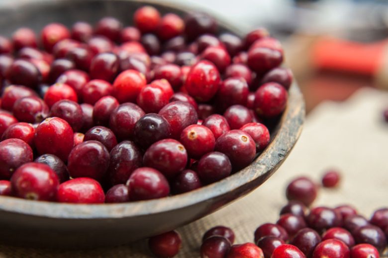 Vaccinium macrocarpon, Cranberry, Fruiting Shrubs, Red Berries, Cranberries,