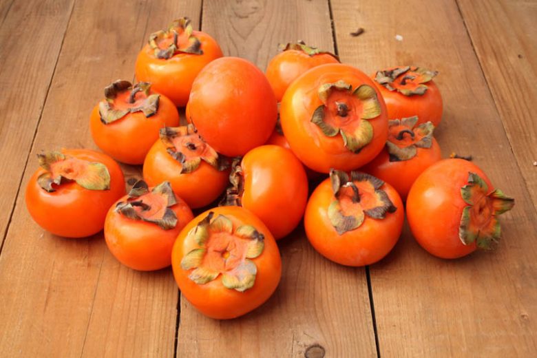 Diospyros kaki 'Fuyu', Japanese Persimmon 'Fuyu', Chinese Date Plum 'Fuyu', Chinese Persimmon 'Fuyu', Oriental Persimmon 'Fuyu', Kaki 'Fuyu'