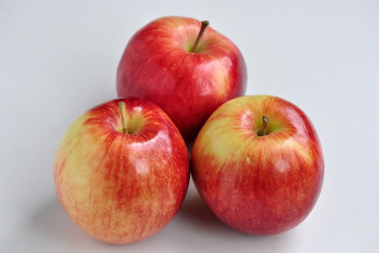 Malus domestica 'Empire', Apple 'Empire', Empire Apple, Malus 'Empire', Red Apple, White flowers,