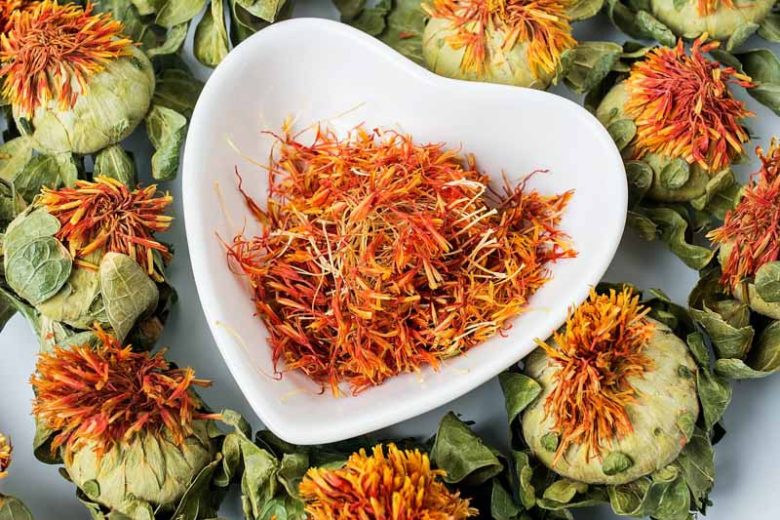 Carthamus tinctorius, False Saffron, Safflower, American Saffron, Dyer's Saffron, Fake Saffron, Saffron Thistle, Bastard Saffron, Rouge Plant, Safflower Oil Plant, Yellow Flowers