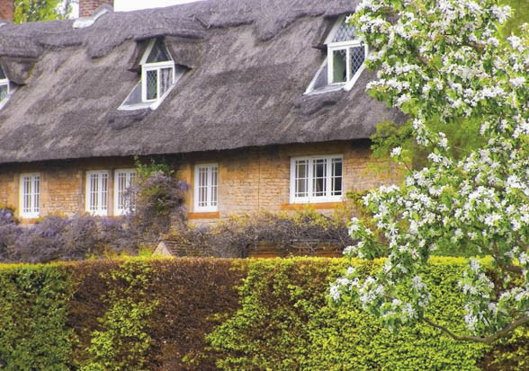 United Kingdom, UK gardening, UK garden, UK Climate, UK Region