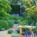 Garden Ideas, Landscaping ideas, Artemisia, Allium Purple Sensation, Cornus kousa Satomi, euphorbia, geranium kahsmir white, lavandula munstead, salvia caradonna, thymus silver posie, trollius alabaster