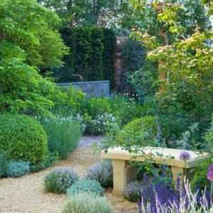 Garden Ideas, Landscaping ideas, Artemisia, Allium Purple Sensation, Cornus kousa Satomi, euphorbia, geranium kahsmir white, lavandula munstead, salvia caradonna, thymus silver posie, trollius alabaster