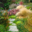 Garden ideas, Mediterranean plants, Water wise garden, Low maintenance garden, Gardens by Gabriel,ornamental grasses, gaura, stipa tenuissima, pennisetum setaceum, helianthemum, carex testacea, verbena lilacina, anigozanthus
