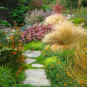 Garden ideas, Mediterranean plants, Water wise garden, Low maintenance garden, Gardens by Gabriel,ornamental grasses, gaura, stipa tenuissima, pennisetum setaceum, helianthemum, carex testacea, verbena lilacina, anigozanthus