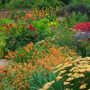 Garden Ideas, Perennial Planting, Perennial combination, Summer Borders, Fall Borders, Achillea 'Terracota', Monarda 'Gardenview Scarlet', Erysimum 'Apricot Delight',Hemerocallis 'Anzac'
