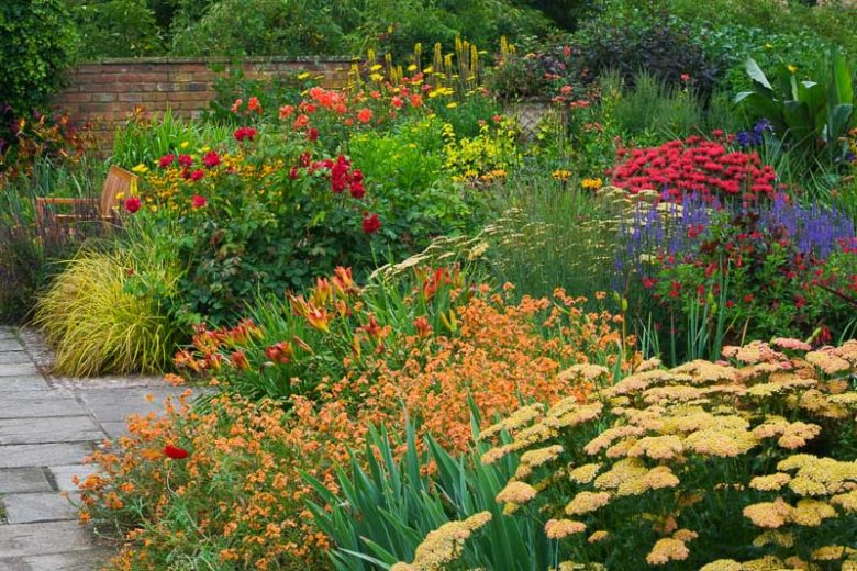 Garden Ideas, Perennial Planting, Perennial combination, Summer Borders, Fall Borders, Achillea 'Terracota', Monarda 'Gardenview Scarlet', Erysimum 'Apricot Delight',Hemerocallis 'Anzac'