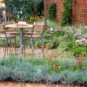 Garden Ideas, Border ideas, Perennial Planting, Perennial combination, Summer Border, Achillea Terracotta, Festuca glauca Elijah Blue, Achillea ‘Summer Pastels', Buxus sempervirens, Carex comans forsted curls, Stipa tenuissima