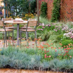 Garden Ideas, Border ideas, Perennial Planting, Perennial combination, Summer Border, Achillea Terracotta, Festuca glauca Elijah Blue, Achillea ‘Summer Pastels', Buxus sempervirens, Carex comans forsted curls, Stipa tenuissima