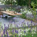 Garden Ideas, Landscaping ideas, Agapanthus africanus Albus, Agapanthus Northern Star,  Agapanthus Silver Moon, Agastache Black Adder, Deschampsia cespitosa, Eryngium bourgatii, Hydrangea arborescens Annabelle