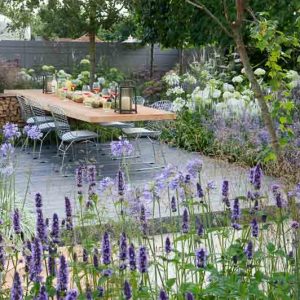 Garden Ideas, Landscaping ideas, Agapanthus africanus Albus, Agapanthus Northern Star,  Agapanthus Silver Moon, Agastache Black Adder, Deschampsia cespitosa, Eryngium bourgatii, Hydrangea arborescens Annabelle