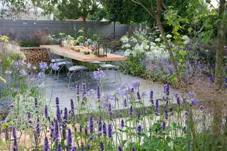 Garden Ideas, Landscaping ideas, Agapanthus africanus Albus, Agapanthus Northern Star,  Agapanthus Silver Moon, Agastache Black Adder, Deschampsia cespitosa, Eryngium bourgatii, Hydrangea arborescens Annabelle
