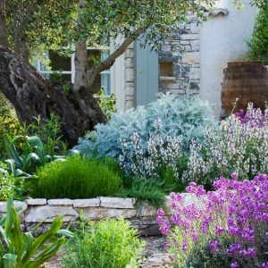 Garden Ideas, Landscaping ideas, Artemisia ‘Powis Castle’, Santonina pinnata subs. neapolitana, Cistus purpureus, Rosmarinus officinalis Rostratus, Phlomis fruticosa, Erysimum ‘Bowles Mauve', Calamintha nepeta